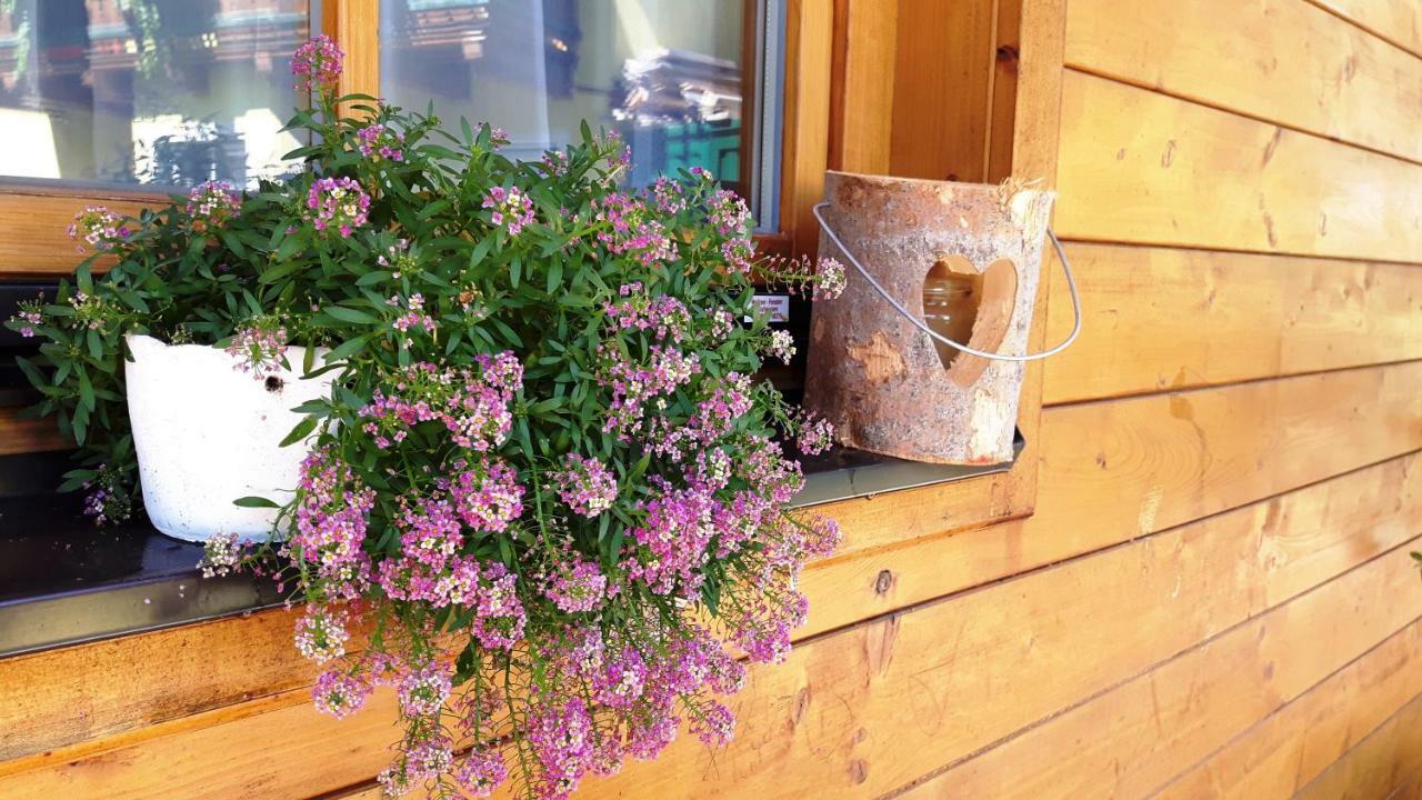 Landhaus Sonnenschein Schladming Eksteriør billede